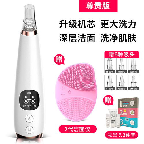 璐瑶美容按摩双体验 深层清洁与舒适按摩的科技呵护